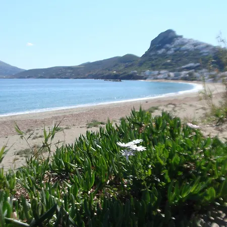 παραθιν αλοσ 1 *